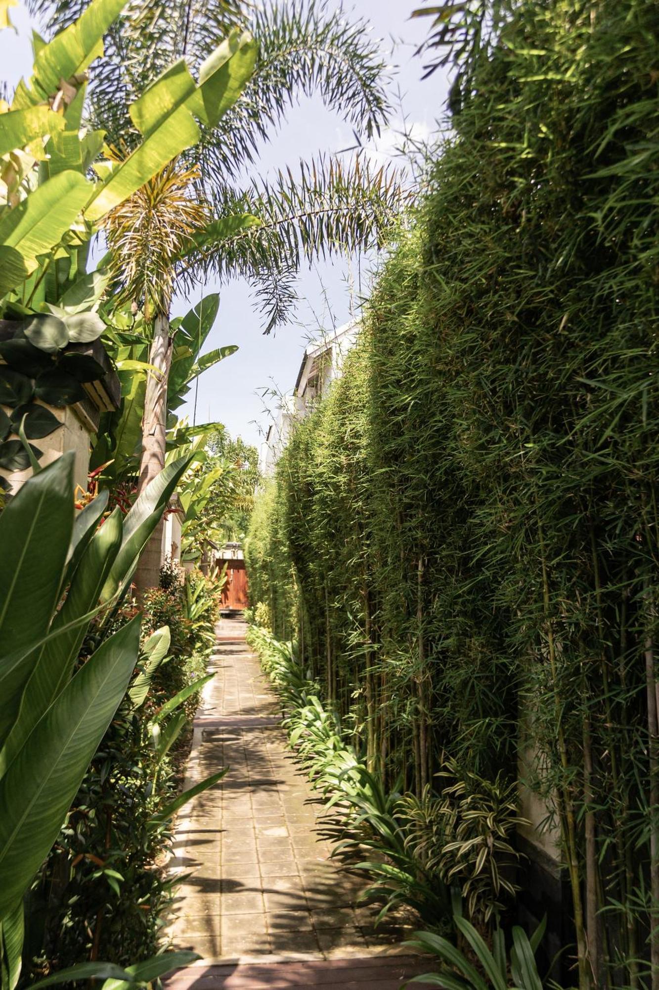 Belle Asana Villa Canggu  Ngoại thất bức ảnh